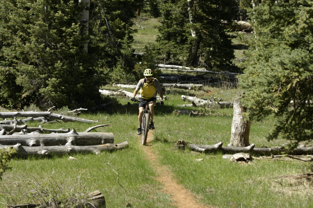 Mountain biking is a great way to increase your core lean muscle mass.