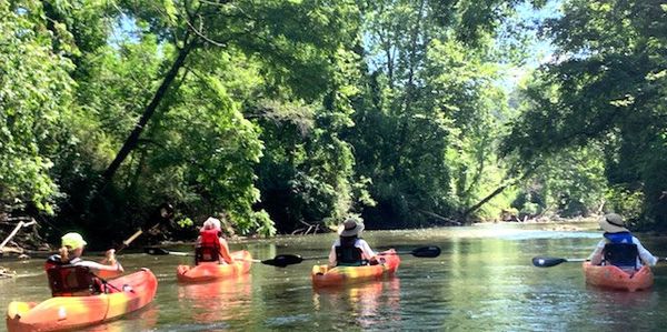 Kayaking is a great outdoor activity.  Enjoy the motion of the water, the exercise and fresh air!